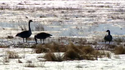 Warmer and Sunnier Conditions to Close the Week Across Canada