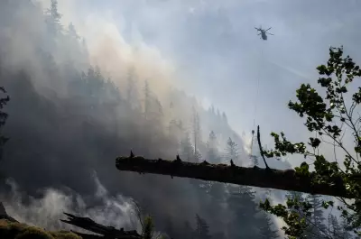 Wet Winter in B.C. Offers Hope for Reduced Wildfire Risk This Summer