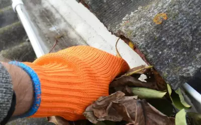 Why Checking Gutters and Vents Is Crucial Before Fire Season Arrives