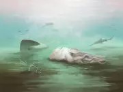 Ancient 'Octopus' Fossil Reclassified, Revealing New Evolutionary Insights