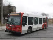 Auditor General Slams OC Transpo for 'Blatantly Obvious' Hiring Violations