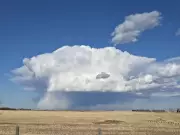 Calgary Braces for Mid-Week Temperature Drop After One More Warm Spring Day