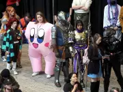 Calgary Expo, Wild FC, Potato Giveaway, and Homelessness Stair Climb Weekend