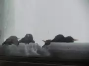 Calgary Set for Sunny Weekend with High Temperatures in the Teens