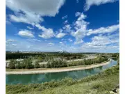 Calgary Walks: Discover Exotic Flavors in East Calgary