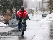 Calgary Weekend Highlights: Science Fair, Soccer, and Dinosaur Record Attempt