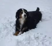 Calgary Welcomes Spring with Warmer Weather as Seasonal Shift Arrives