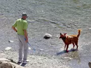 Calgary's Spring Weather Roller Coaster Continues with Snow and Temperature Swings