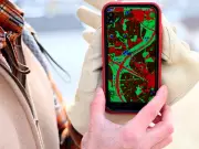 Calgary's Urban Heat Divide: Some Neighborhoods 10°C Warmer Due to Vegetation Gaps