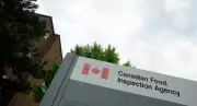 CanadaEgg Salmonella Recall Expands to Ontario and Quebec Products