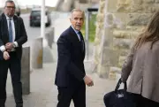 Carney Says Clean Electricity Strategy Still Coming Weeks After Promise
