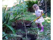 ChariTree Foundation Celebrates 20 Years with Global Climate Education Push