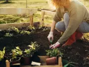 Creating a Realistic Budget for Your Garden Project: Expert Advice