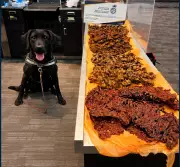 Detector Dog at Pearson Airport Sniffs Out Over 40kg of Undeclared Meat