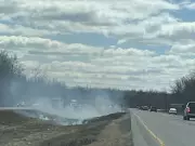 Discarded Cigarette Ignites Season's First Grass Fire on Ottawa Highway
