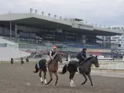 Discover Free Activities in Toronto for the Next Four Weeks