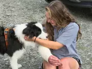 Dog Survives Week in New Zealand Wilderness After Owner's Waterfall Fall