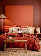 Earth Is Calling: Terracotta's Sophisticated Comeback in Interior Design
