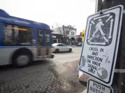 Edmonton Scramble Crosswalks on Whyte Avenue Face Removal Over Traffic Delays