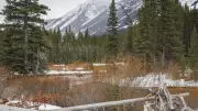 Embracing Winter's Beauty: A Snowy Journey Through Alberta's Foothills