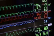 Expert Says Parliamentary Committee on Assisted Dying Is Biased
