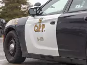 Fatal Hwy. 401 Crash in Pickering; Police Apprehend Federal Offender