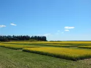 Federal Farm Research Cuts Threaten Organic Agriculture and Food Security