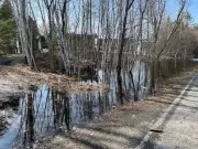 Flood Devastation Persists Across Muskoka Region, Hundreds of Buildings Affected