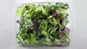 Food Safety Experts Warn: Prewashed Bagged Greens Pose High Contamination Risk