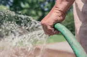 Guelph Woman Arrested for Garden Hose Assault in Kitchener Incident