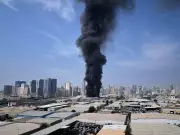 Gulf States Intensify Crackdown on Iranian Terror Networks Amid Regional Conflict