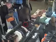 Halton Police Investigate Cell Phone Pickpocket Ring at Toronto Premium Outlets