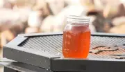 Ideal Spring Conditions Fuel Record Manitoba Maple Syrup Production