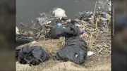 Illegal Dumping in Cape Breton: Garbage Bags Found in Little Pond Waters