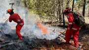 Inside B.C.'s Wildfire Boot Camp: Training Recruits for the Front Lines