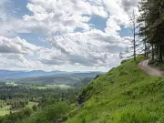 Kananaskis Logging Plans Modified but Conservation Concerns Persist