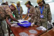 Kenya Sentences Chinese National to Jail for Smuggling Queen Garden Ants