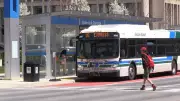 London Transit Pauses Art Plan Due to $430K Annual Cost