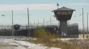 Major Drug Seizure at Edmonton Maximum-Security Prison: Over $57K in Meth and Cannabis Confiscated