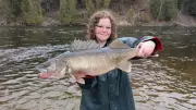 Michigan DNR Discovers Record 15-Pound Walleye in Muskegon River