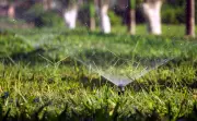 No Lawn Watering from May 1 as Metro Vancouver Imposes Stage 2 Restrictions