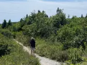 Nova Scotia forest ban struck down: a win for common sense, but flawed reasoning