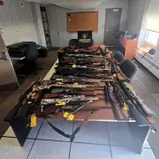 Ontario Man Barred from Firearms Arrested After Police Seize 53 Long Rifles