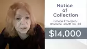 Ontario Restaurant Owner Stressed Over Repaying COVID-19 Benefits