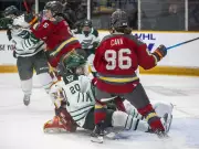 Ottawa Charge on the Brink of Securing PWHL Playoff Spot in Final Games