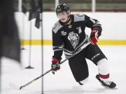 Ottawa Senators Owner Michael Andlauer Explores Purchase of Gatineau Olympiques