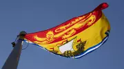 Over 1,100 Candidates Vie in New Brunswick's Upcoming Local Elections