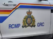 Pedestrian Killed in Maple Ridge While Corralling Dogs on Highway