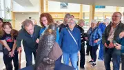 Peregrine Falcon Recovery Highlighted at Laurentian Earth Day Event