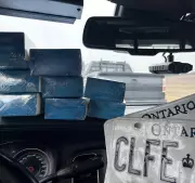 Permanent Marker Used to Alter License Plate in Attempt to Evade Police